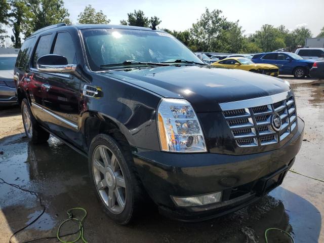 2011 CADILLAC ESCALADE P 1GYS4CEF1BR396895  62562934