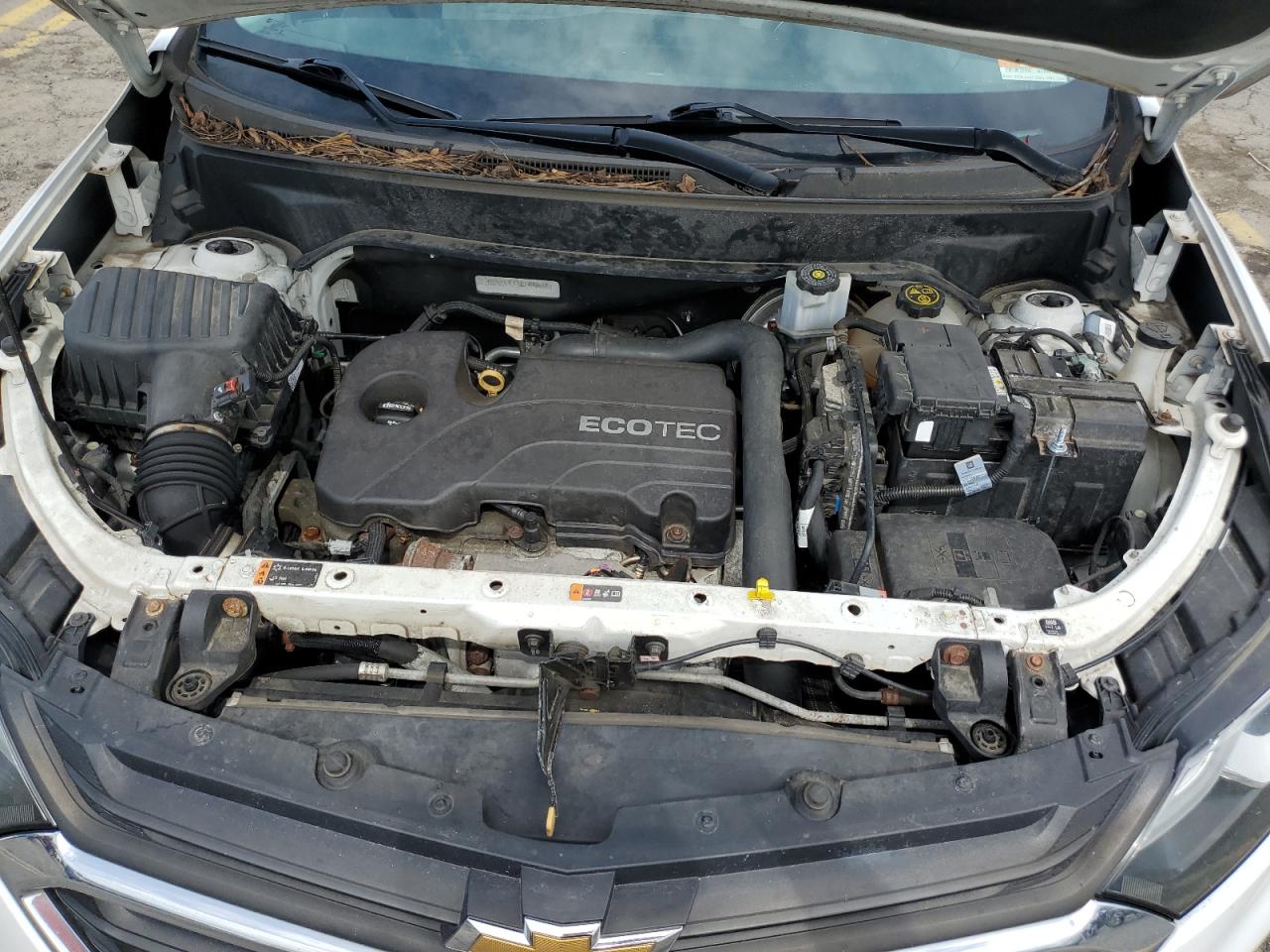 2018 Chevrolet Equinox Ls VIN: 3GNAXHEV7JS504758 Lot: 64566154