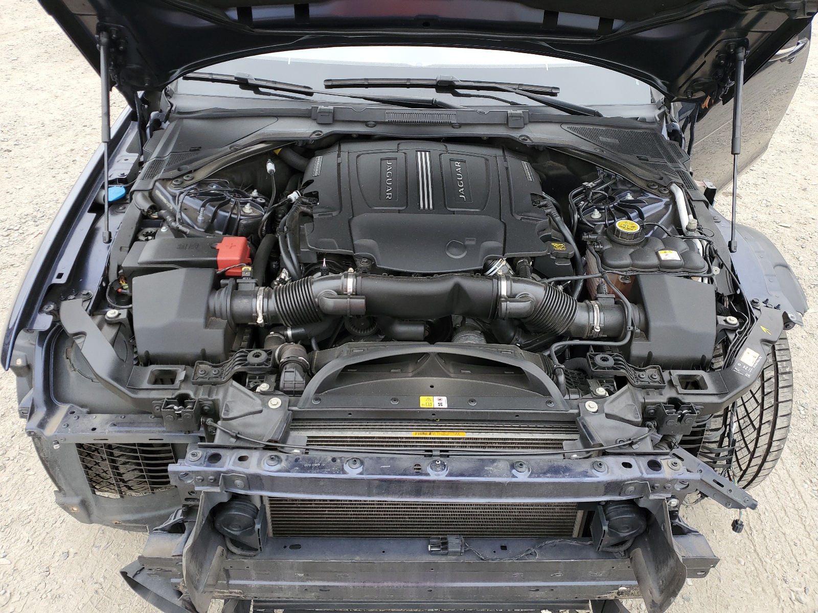 SAJBK4BV1GCY16373 2016 Jaguar Xf Prestige