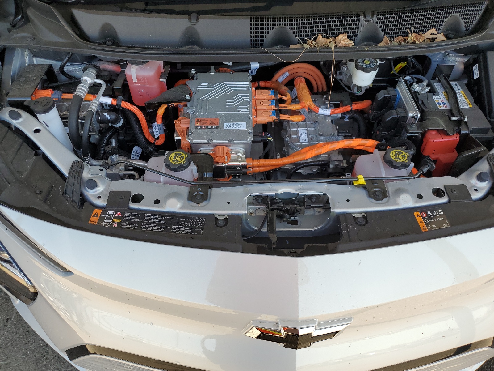 1G1FW6S00P4176339 2023 Chevrolet Bolt Ev 1Lt