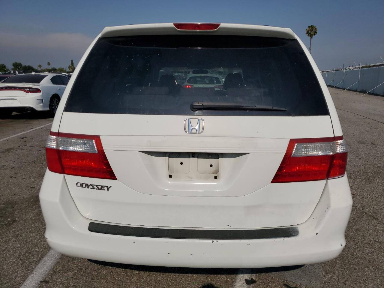 2007 Honda Odyssey Ex VIN: 5FNRL38447B083788 Lot: 62554894