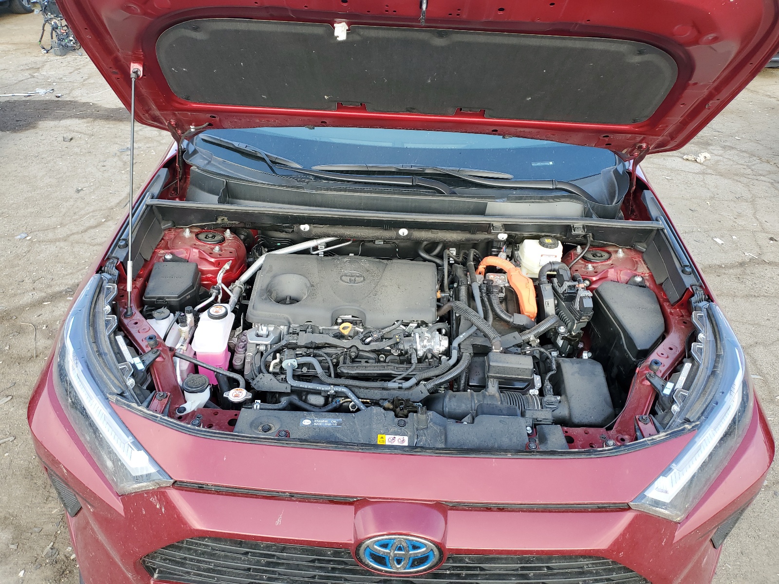 4T3LWRFV4RU135591 2024 Toyota Rav4 Le