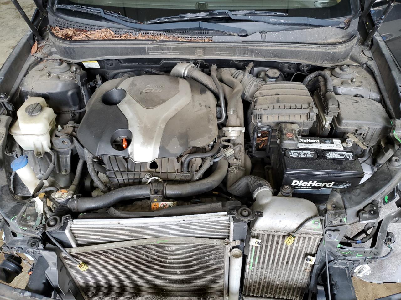 2013 Hyundai Sonata Se VIN: 5NPEC4AB9DH578479 Lot: 64904804