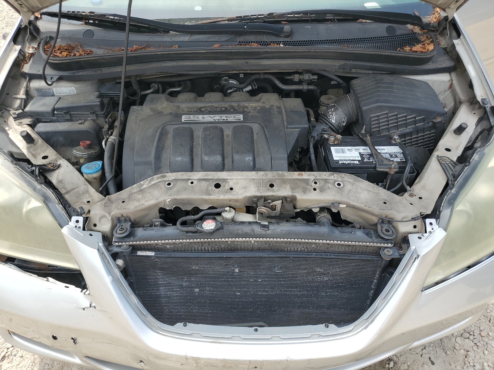 5FNRL38645B020494 2005 Honda Odyssey Exl