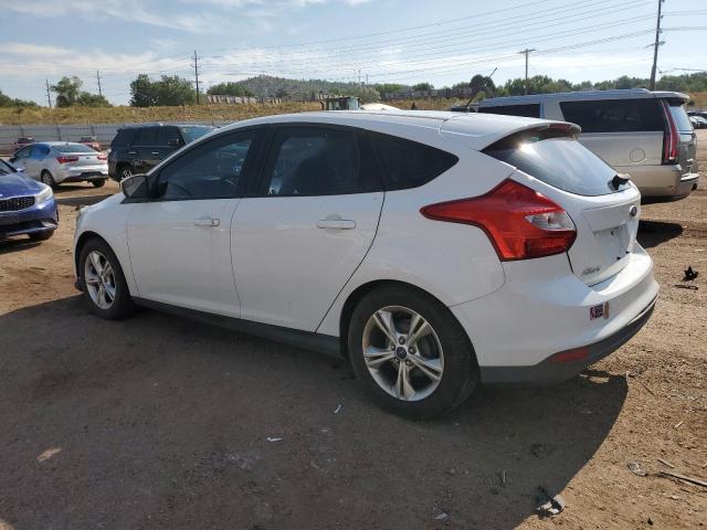 Хэтчбеки FORD FOCUS 2014 Белы