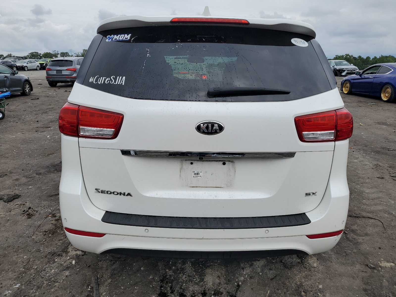 KNDMC5C13J6423227 2018 Kia Sedona Ex