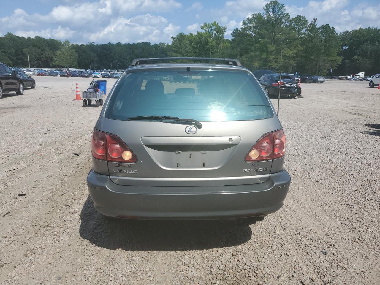 2000 Lexus Rx 300 VIN: JT6HF10U4Y0128125 Lot: 65371524