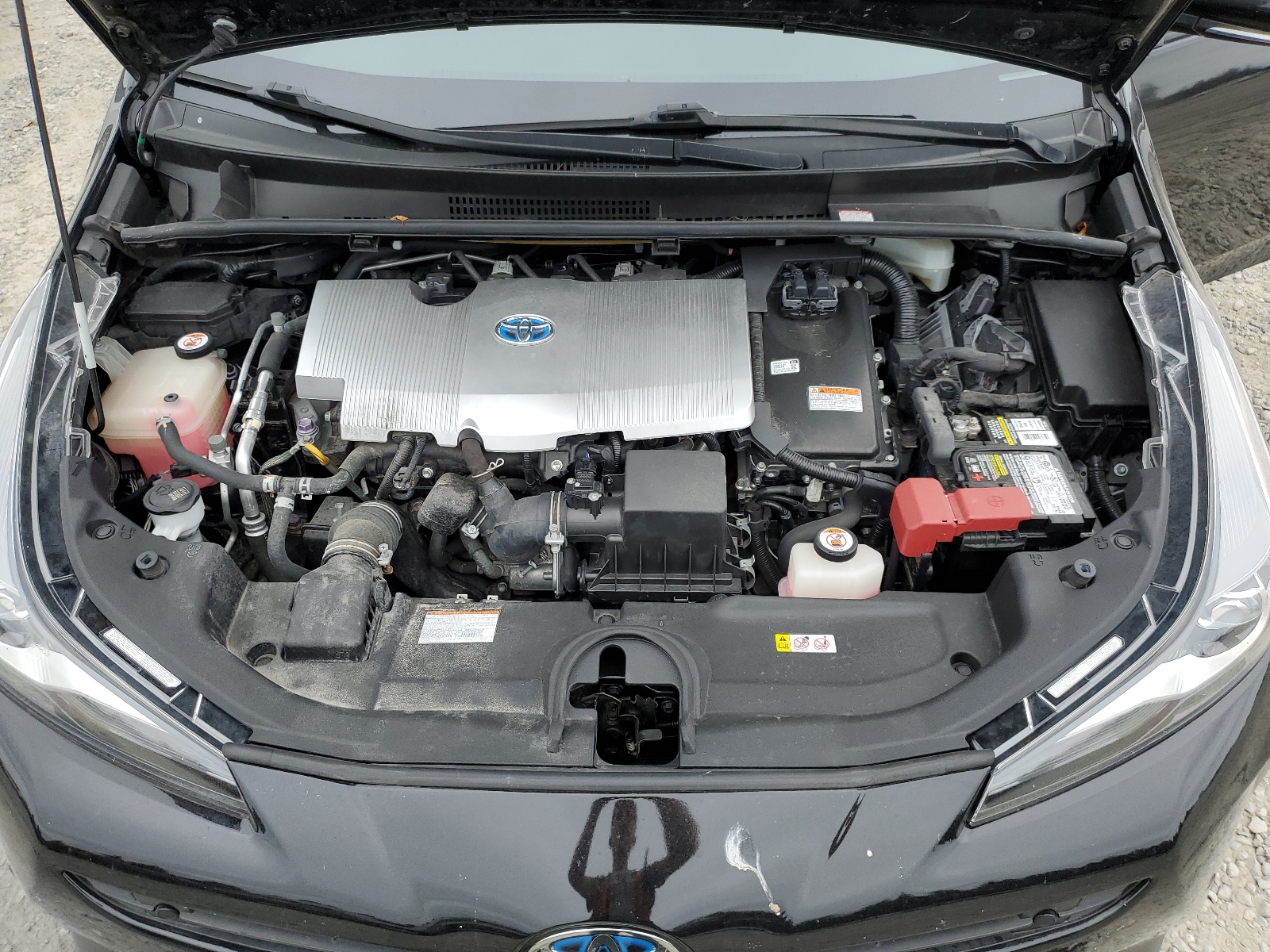 JTDL9RFU7K3002654 2019 Toyota Prius