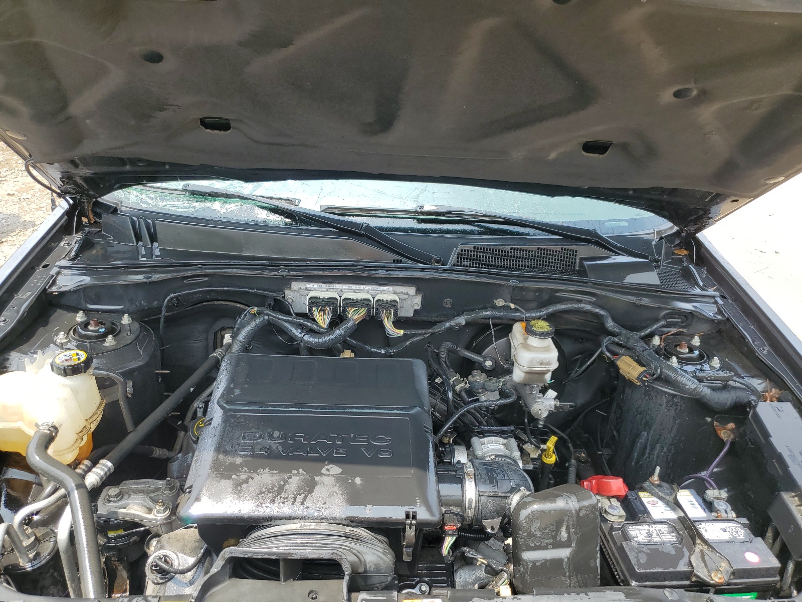 1FMCU0DG2BKB96809 2011 Ford Escape Xlt