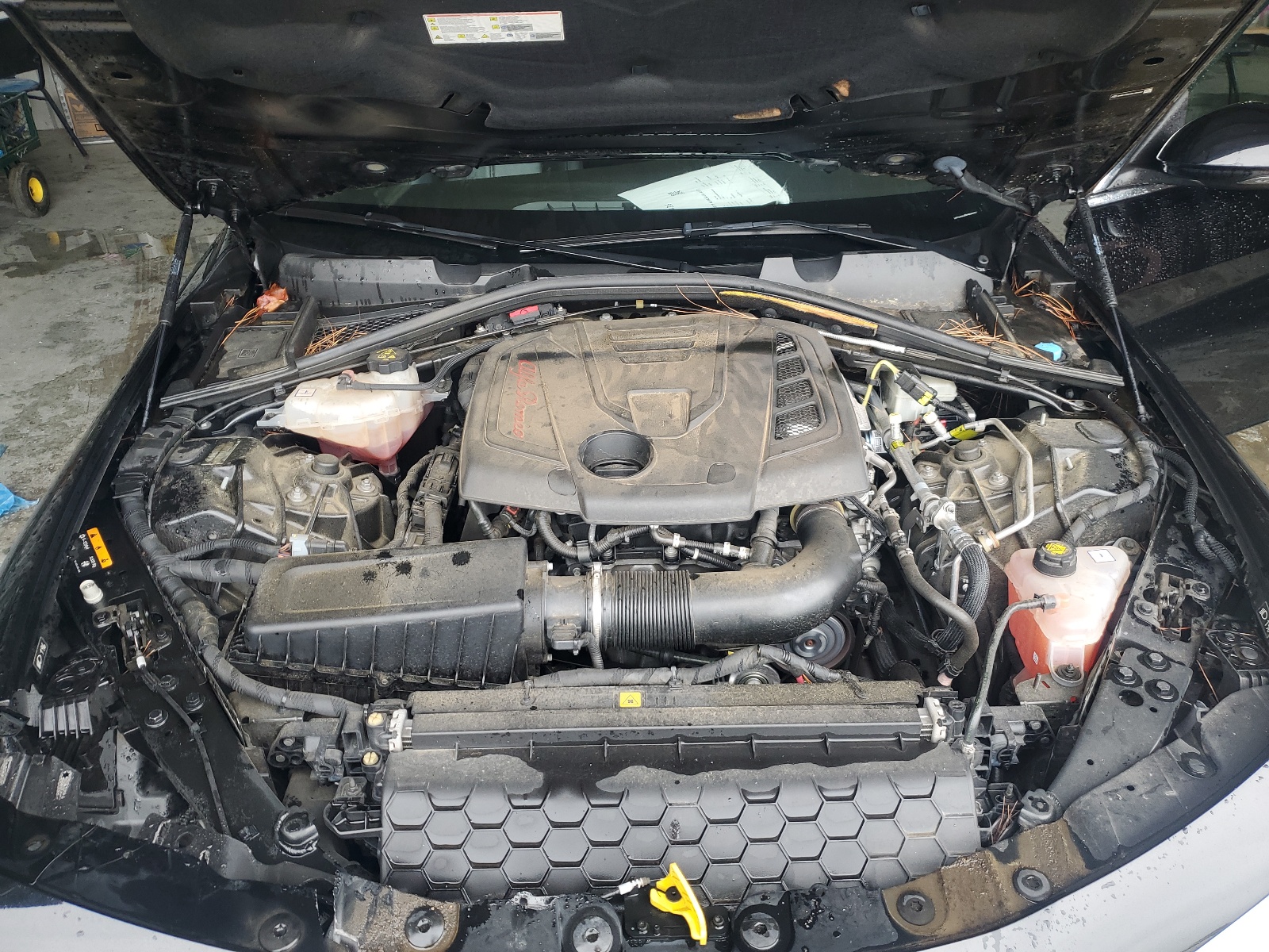 643643443K7601031 2019 Alfa Romeo Giulia