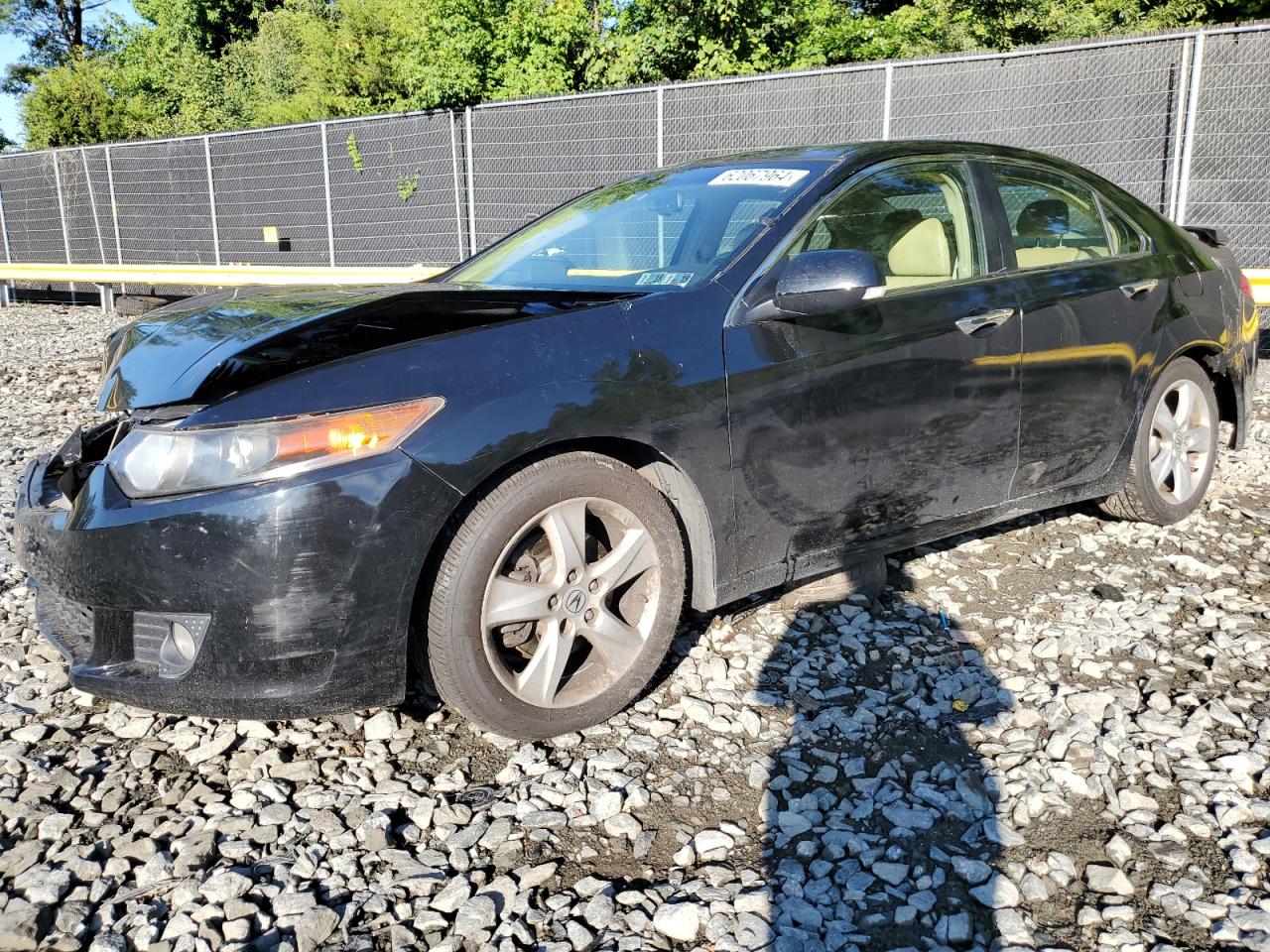 2009 Acura Tsx VIN: JH4CU26699C023165 Lot: 62067964