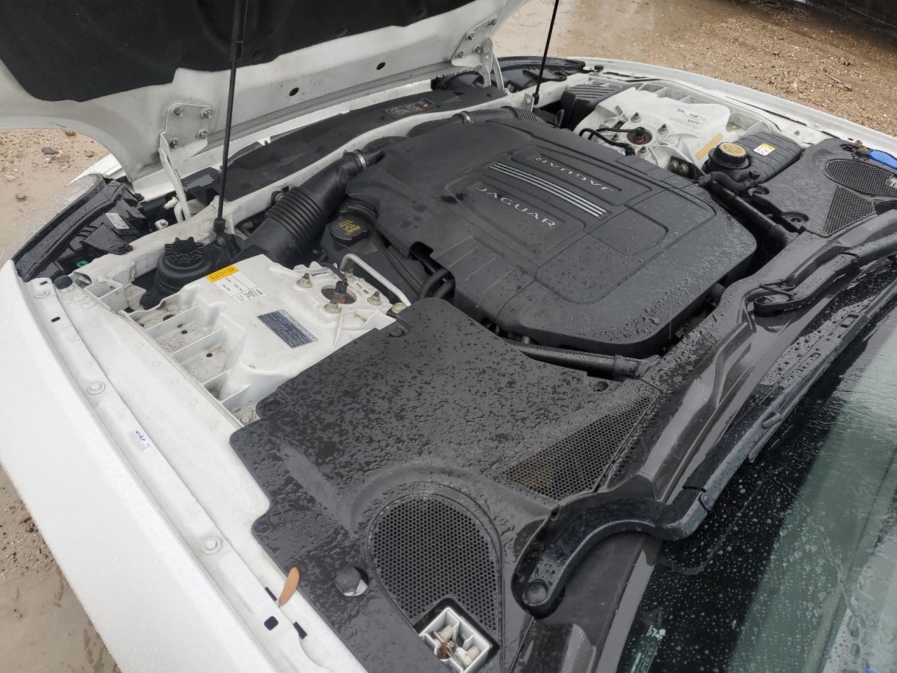 2014 Jaguar Xk VIN: SAJWA4FBXELB53423 Lot: 64722864