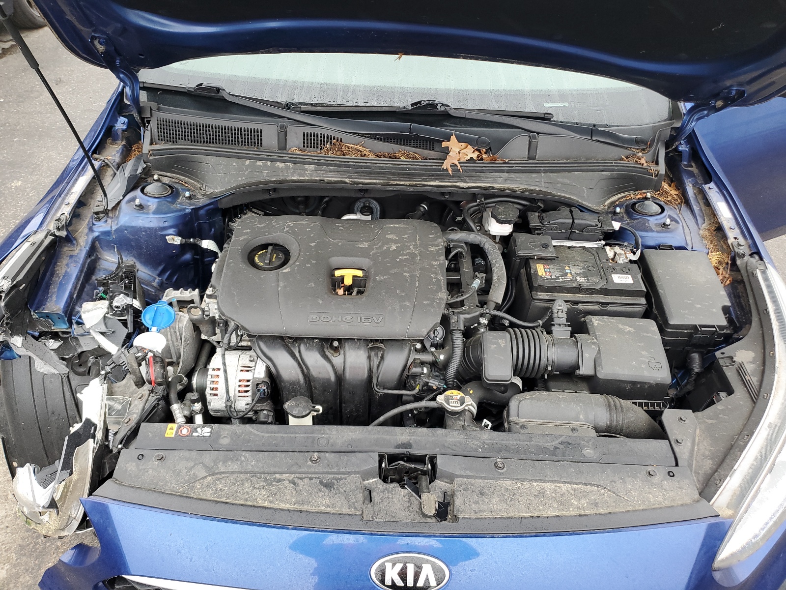 3KPF24AD0KE102938 2019 Kia Forte Fe