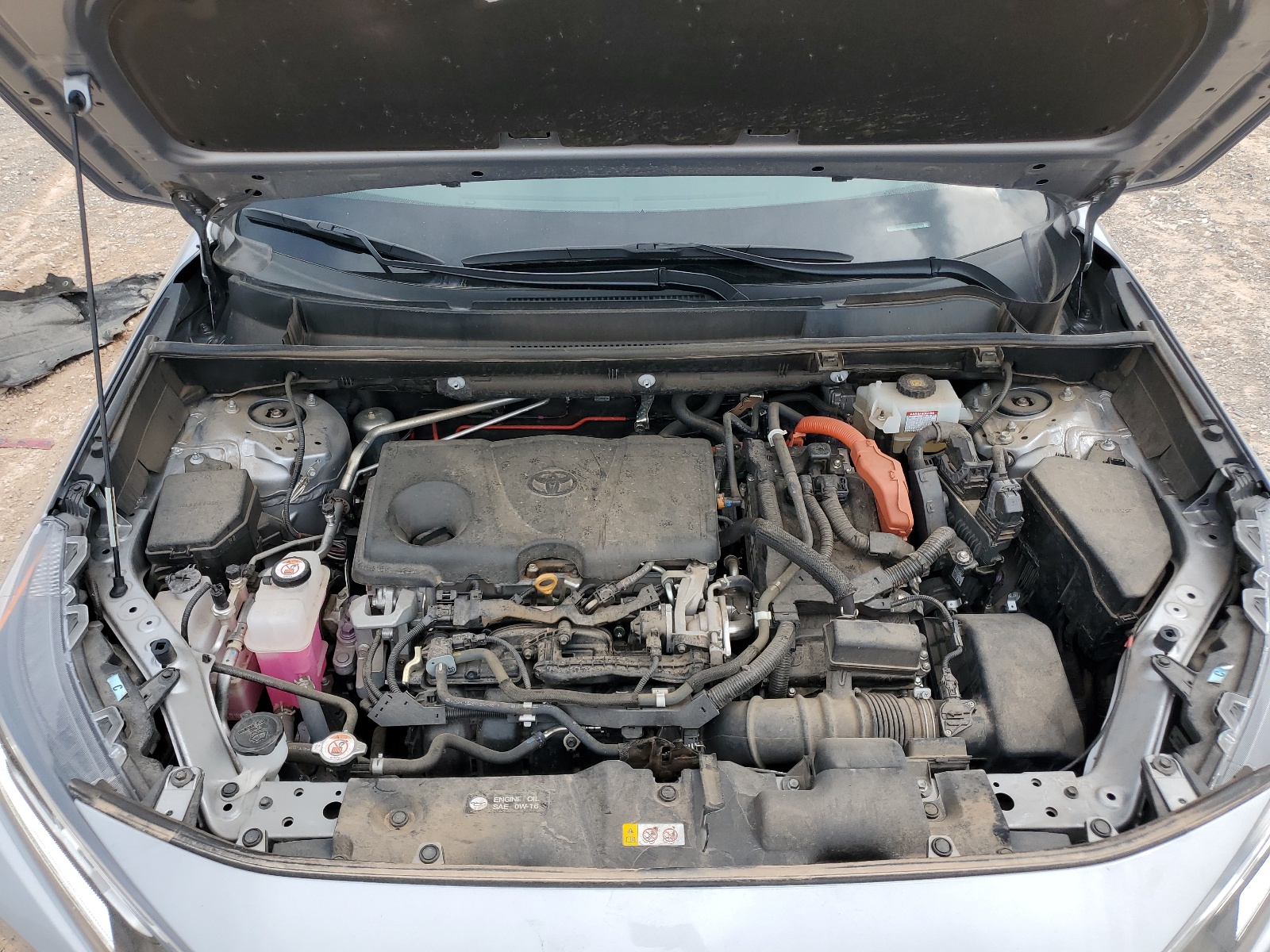 2T3RWRFV2KW036929 2019 Toyota Rav4 Xle