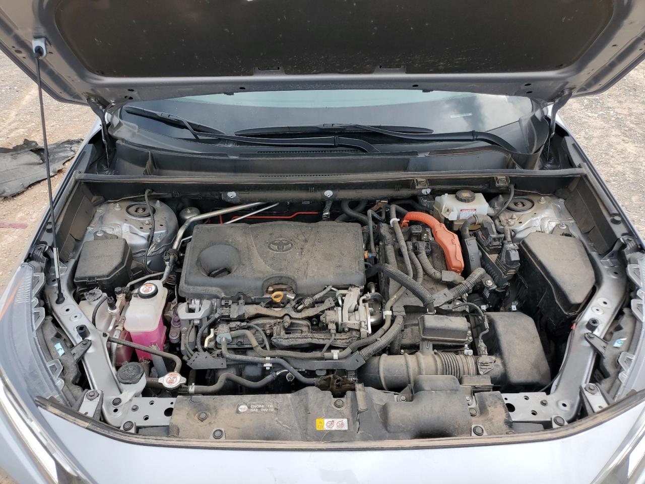 2019 Toyota Rav4 Xle VIN: 2T3RWRFV2KW036929 Lot: 63399834