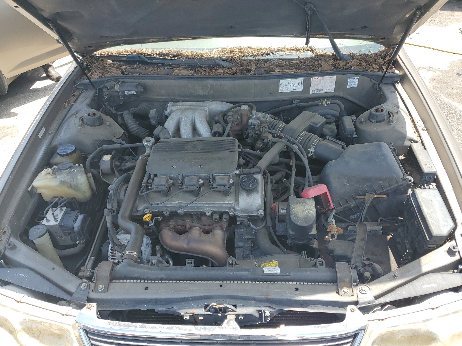 4T1BF18B3XU293667 1999 Toyota Avalon Xl