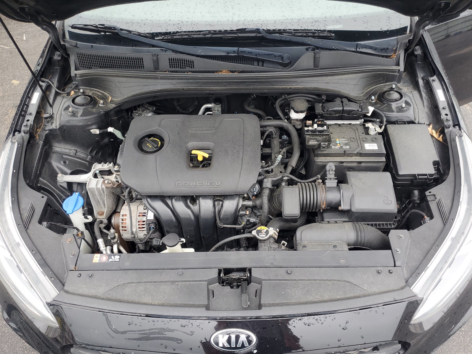 3KPF24AD0KE124664 2019 Kia Forte Fe