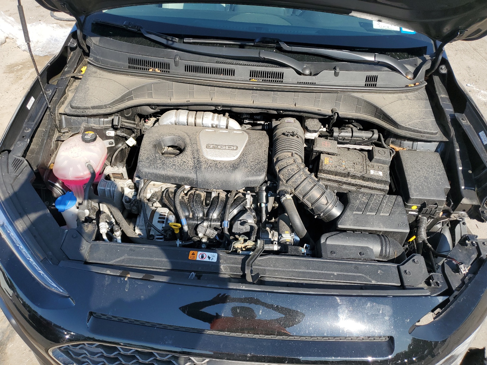 KM8K3CA51MU667357 2021 Hyundai Kona Limited