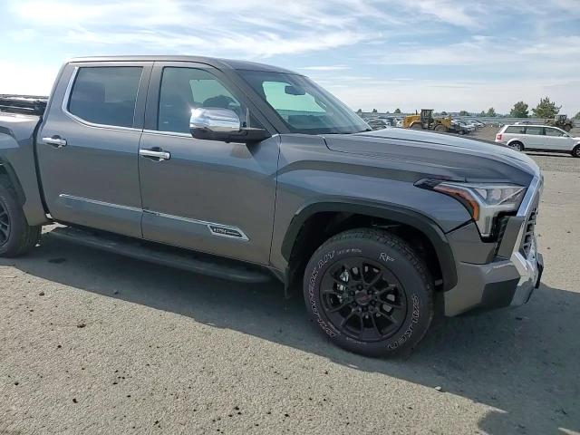 2024 Toyota Tundra Crewmax Platinum VIN: 5TFMA5DB3RX169859 Lot: 60445104