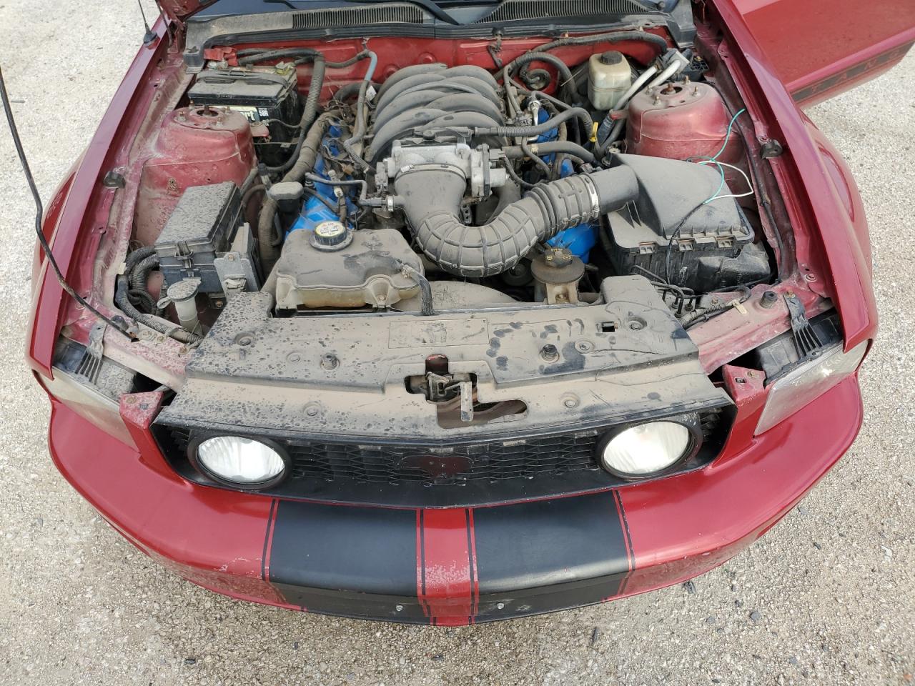 2008 Ford Mustang Gt VIN: 1ZVHT82H085115639 Lot: 62219594