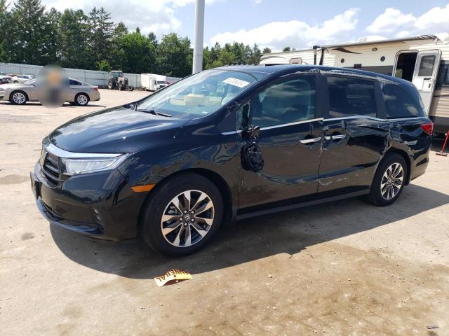 2024 Honda Odyssey Exl