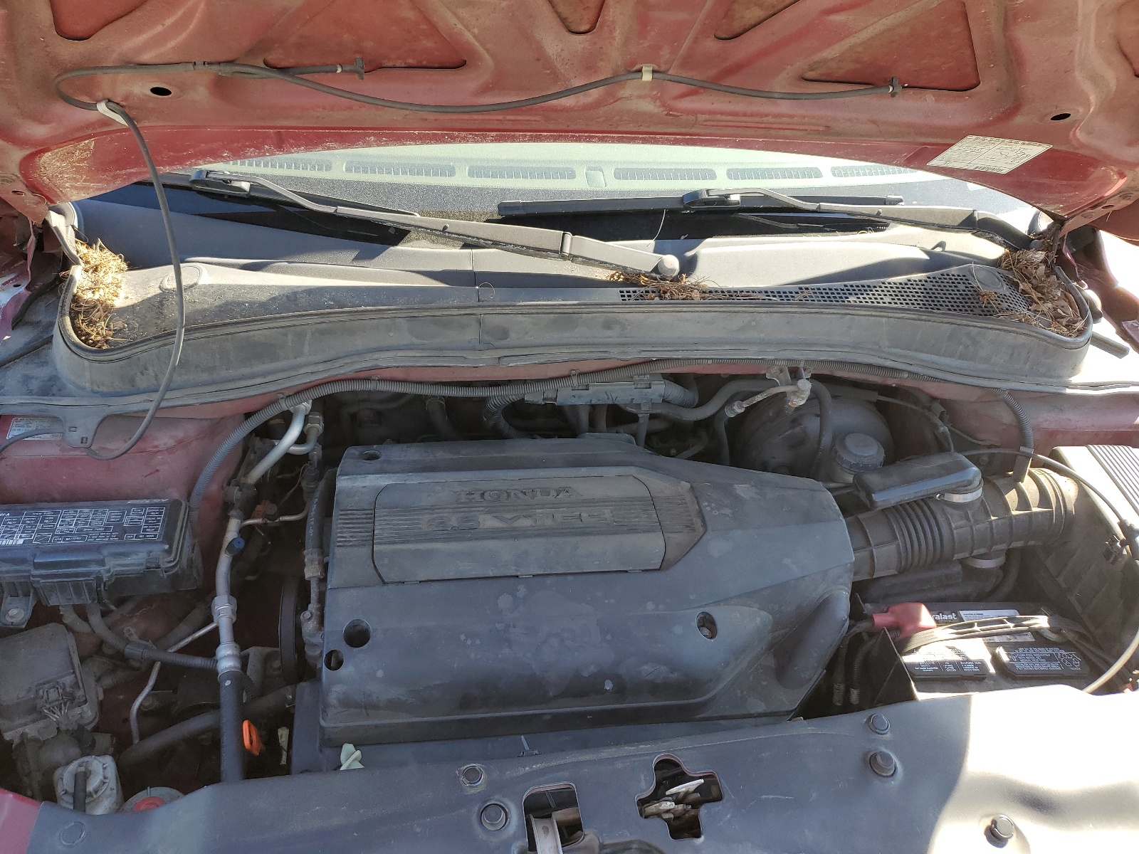 2HKYF18584H530149 2004 Honda Pilot Exl