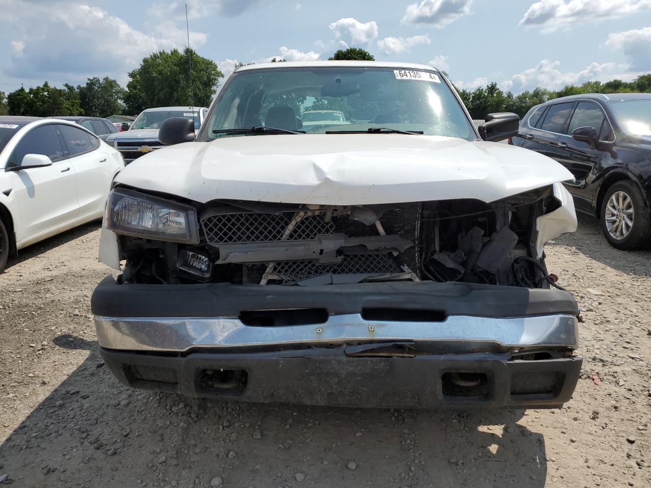 2004 Chevrolet Silverado C1500 VIN: 1GCEC19V34E333934 Lot: 64135014