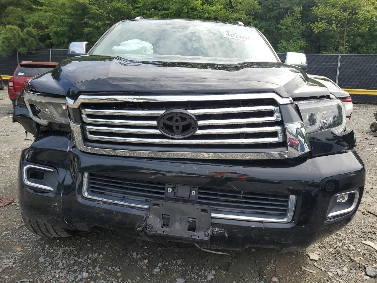 2020 Toyota Sequoia Platinum VIN: 5TDDY5G15LS177182 Lot: 64223894