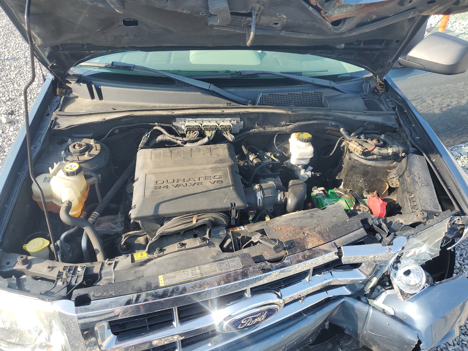 1FMCU0DG5CKA57310 2012 Ford Escape Xlt