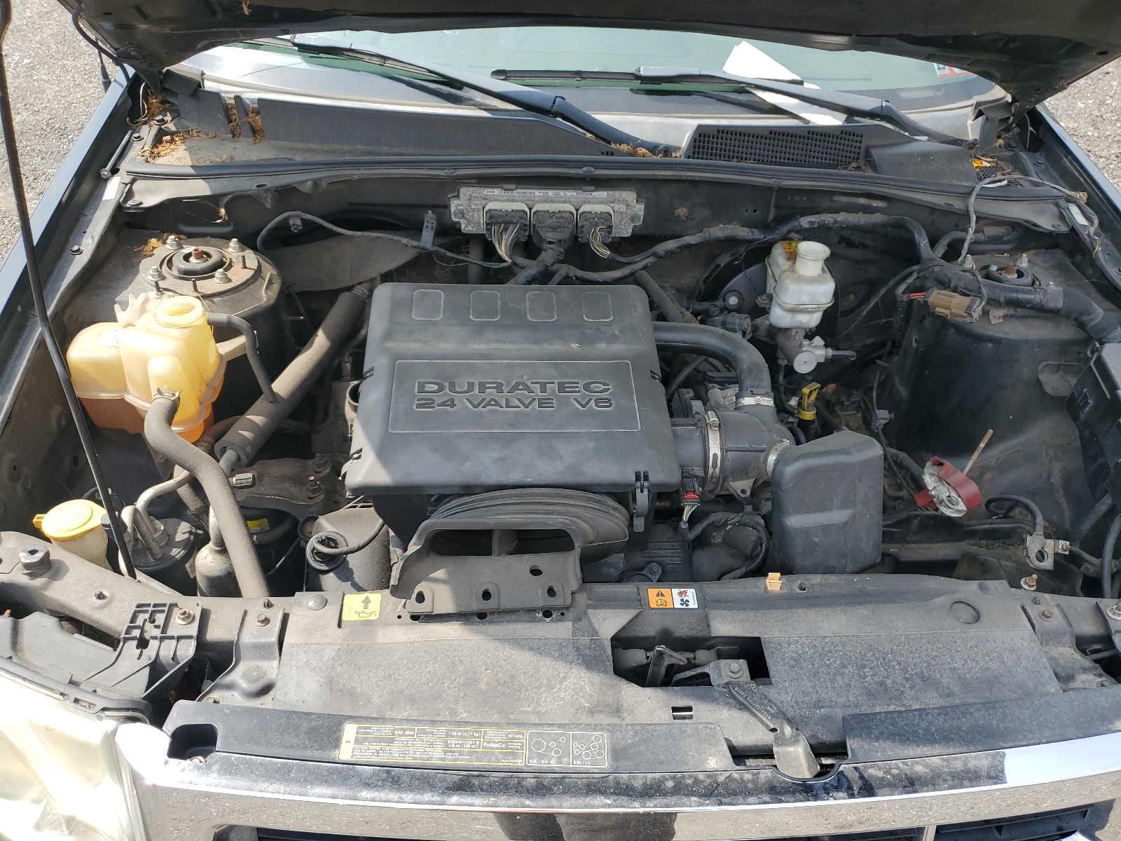 1FMCU93GX9KB01039 2009 Ford Escape Xlt