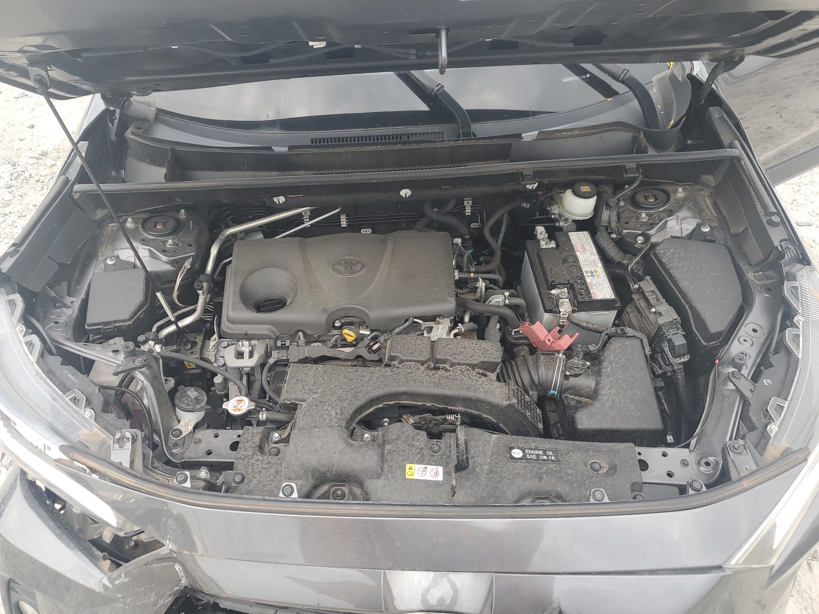 JTMC1RFV7KD010246 2019 Toyota Rav4 Xle Premium