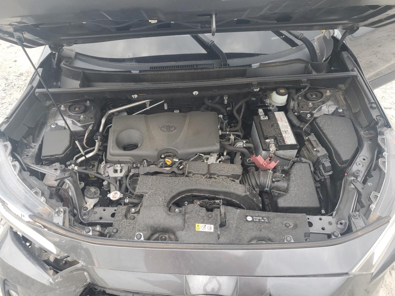 2019 Toyota Rav4 Xle Premium VIN: JTMC1RFV7KD010246 Lot: 62492984