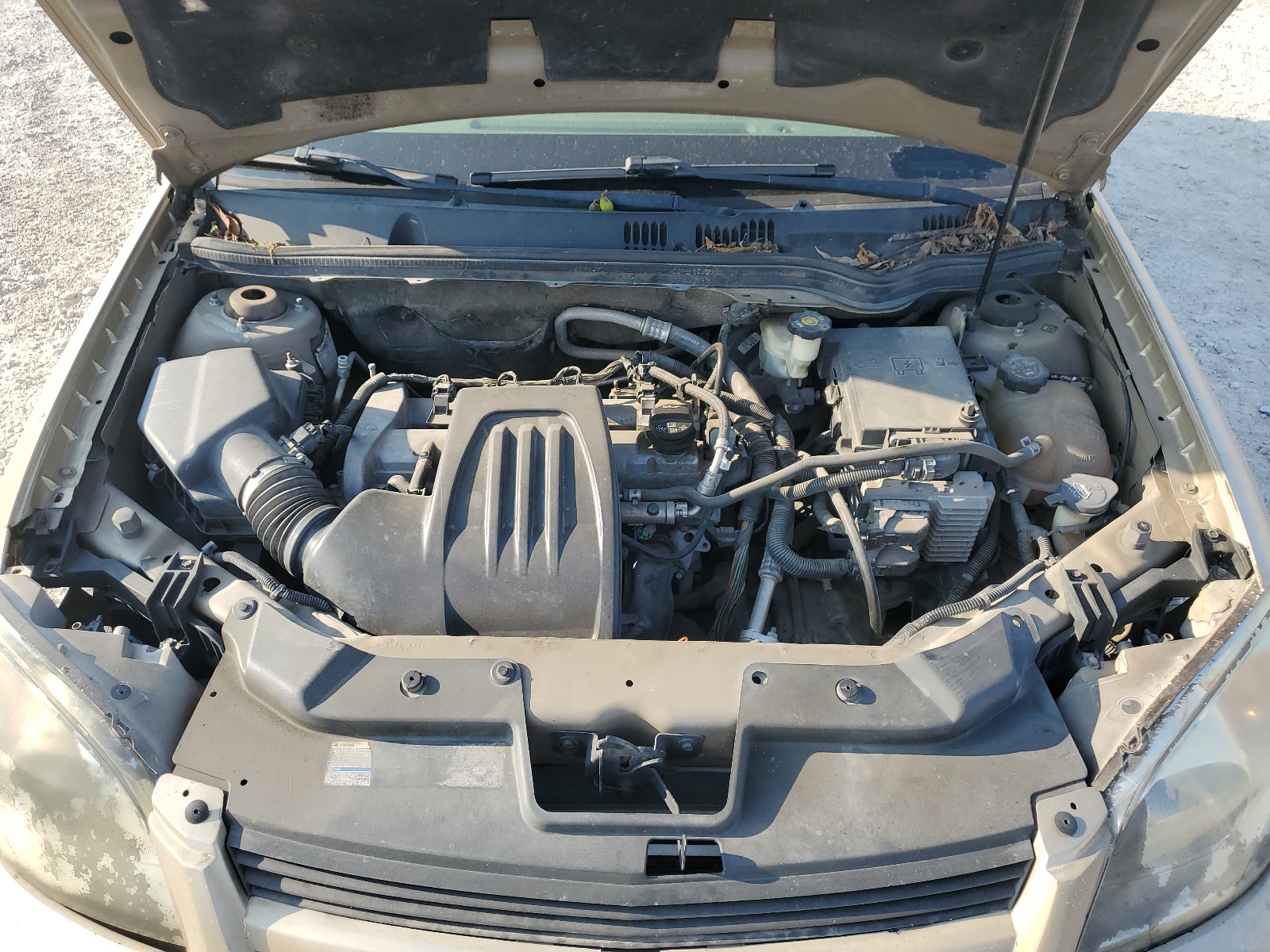 1G1AL55F477129410 2007 Chevrolet Cobalt Lt