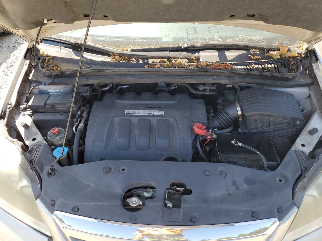 2005 Honda Odyssey Touring VIN: 5FNRL38875B109445 Lot: 63022584