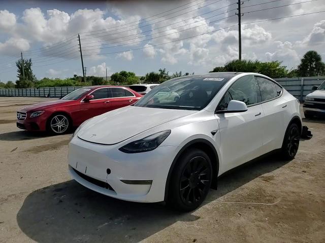 2023 Tesla Model Y VIN: 7SAYGDEE3PA166101 Lot: 64116234