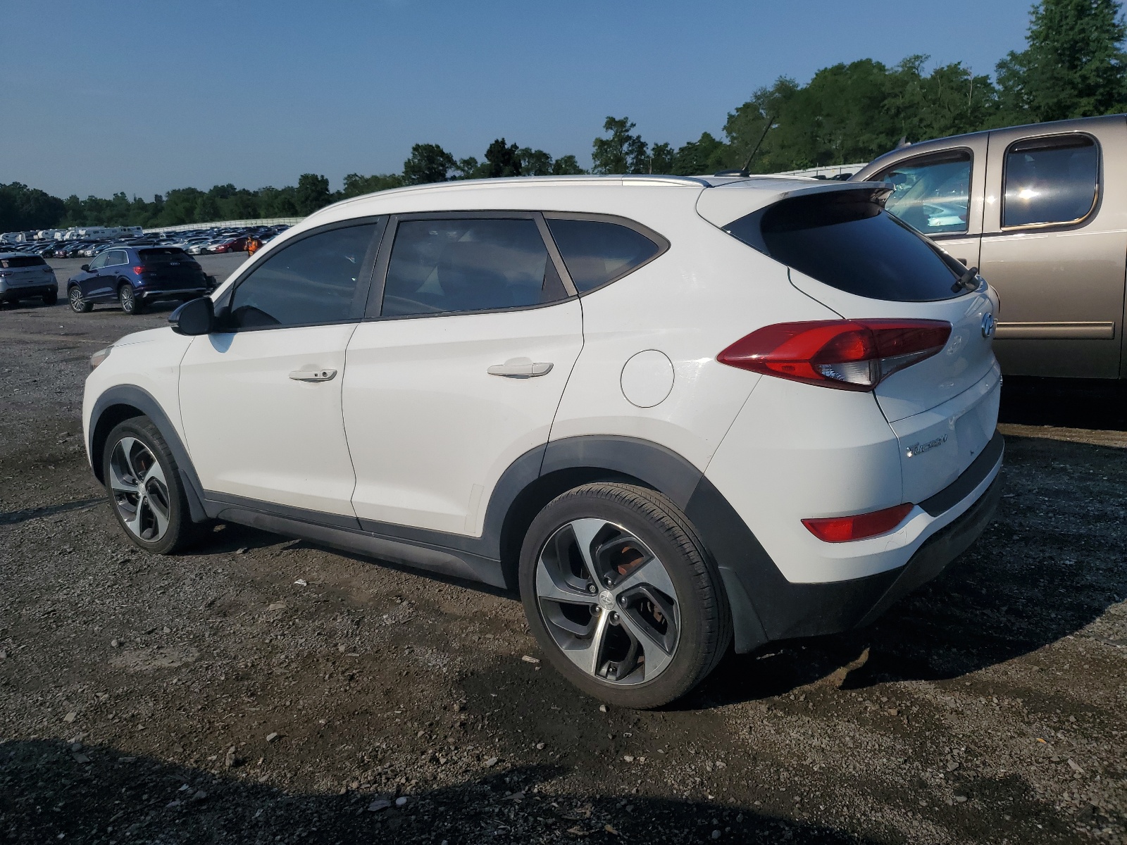 2016 Hyundai Tucson Limited vin: KM8J3CA24GU025558