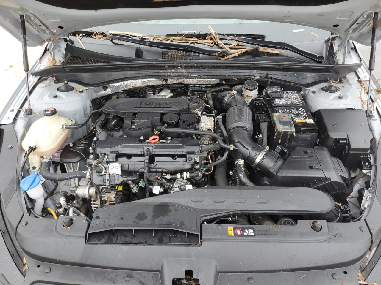 2024 Kia K5 Gt Line VIN: 5XXG64J24RG266816 Lot: 61448984