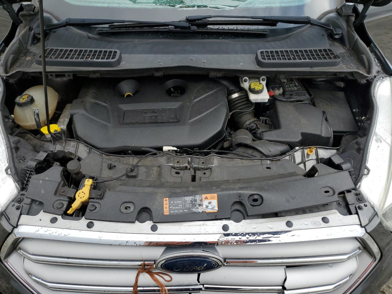 2017 Ford Escape Se VIN: 1FMCU0G92HUC56002 Lot: 61202794