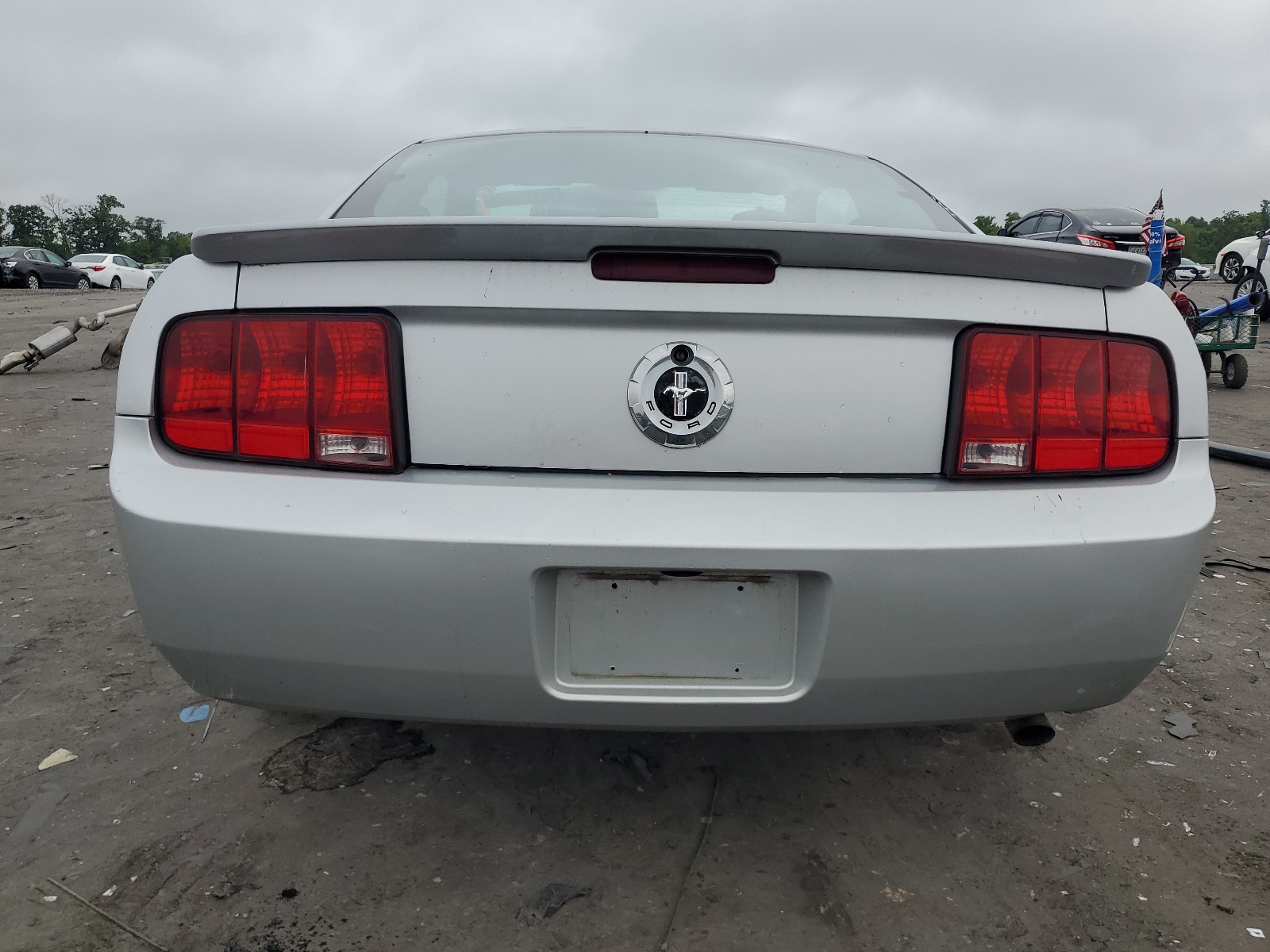 1ZVHT80N185101645 2008 Ford Mustang