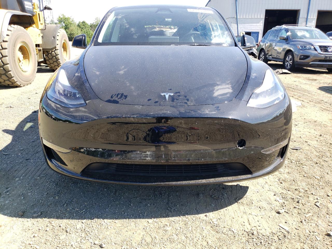 2024 Tesla Model Y VIN: 7SAYGDED4RF091972 Lot: 62535584