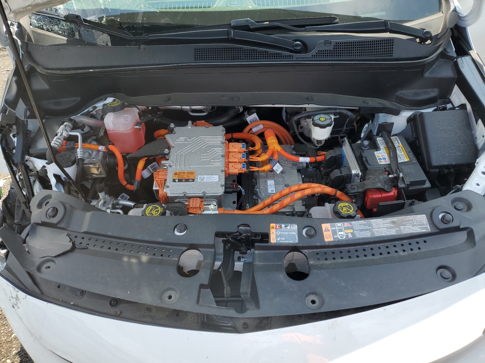 1G1FY6S03N4112397 2022 Chevrolet Bolt Euv Lt