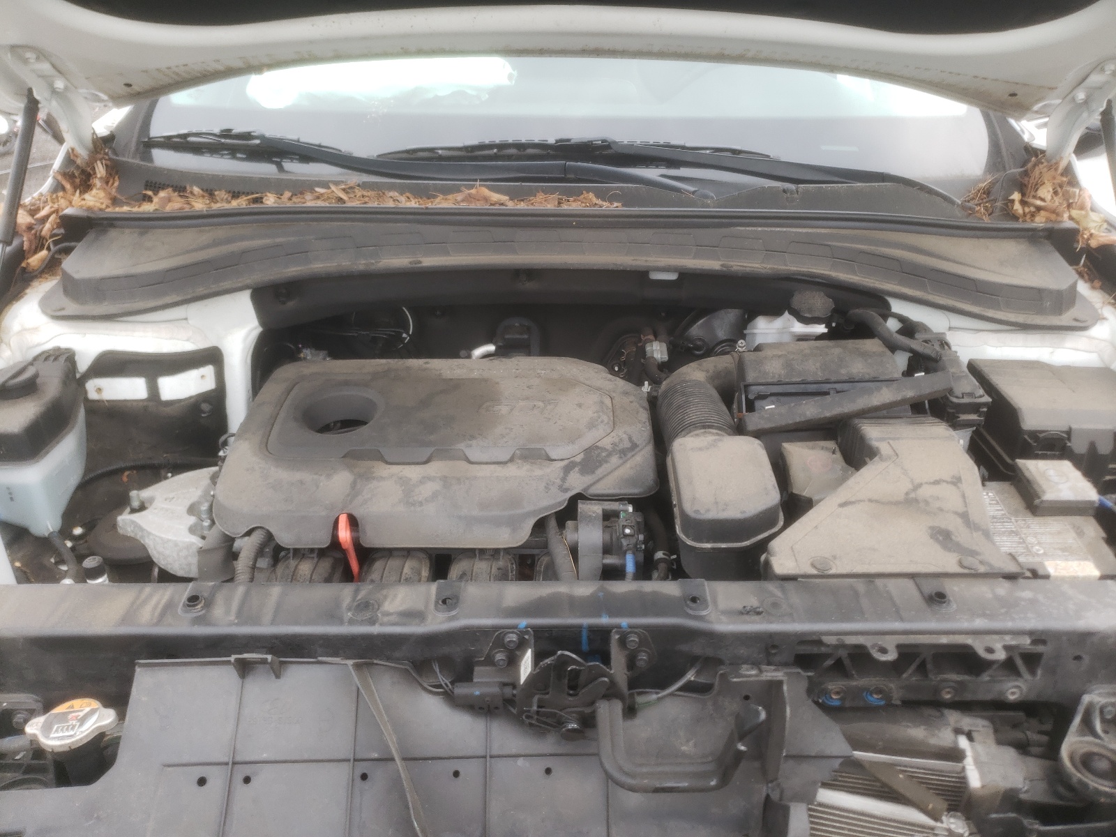 5NMS3CAD0LH151556 2020 Hyundai Santa Fe Sel