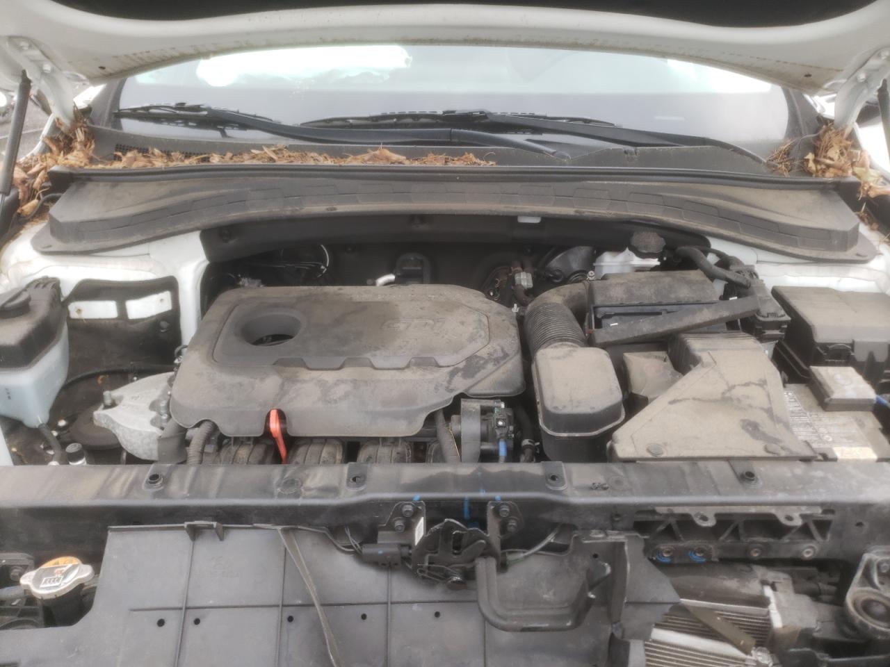 2020 Hyundai Santa Fe Sel VIN: 5NMS3CAD0LH151556 Lot: 62822984