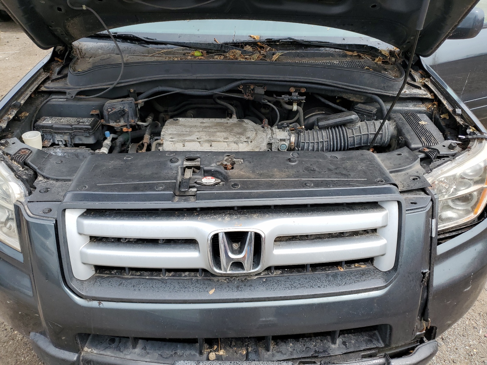 5FNYF18676B010860 2006 Honda Pilot Ex