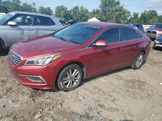  HYUNDAI SONATA 2016 Czerwony