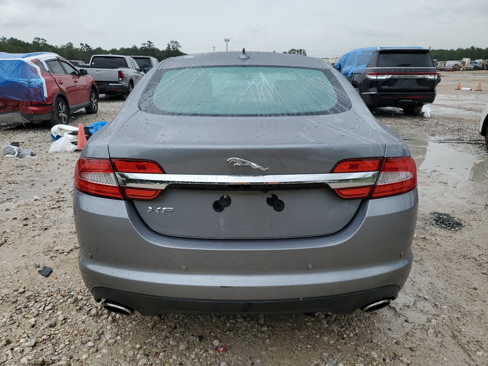 SAJWA0ES6DPS73038 2013 Jaguar Xf