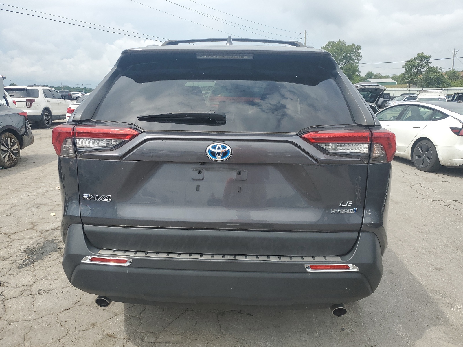 JTMMWRFV4KD501184 2019 Toyota Rav4 Le