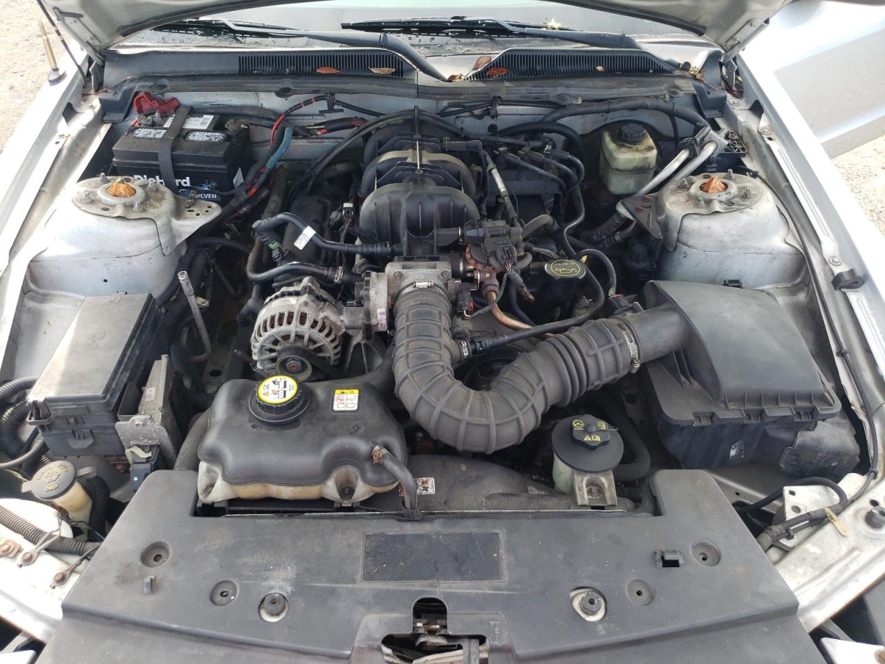 2006 Ford Mustang VIN: 1ZVFT80N765263669 Lot: 64447244