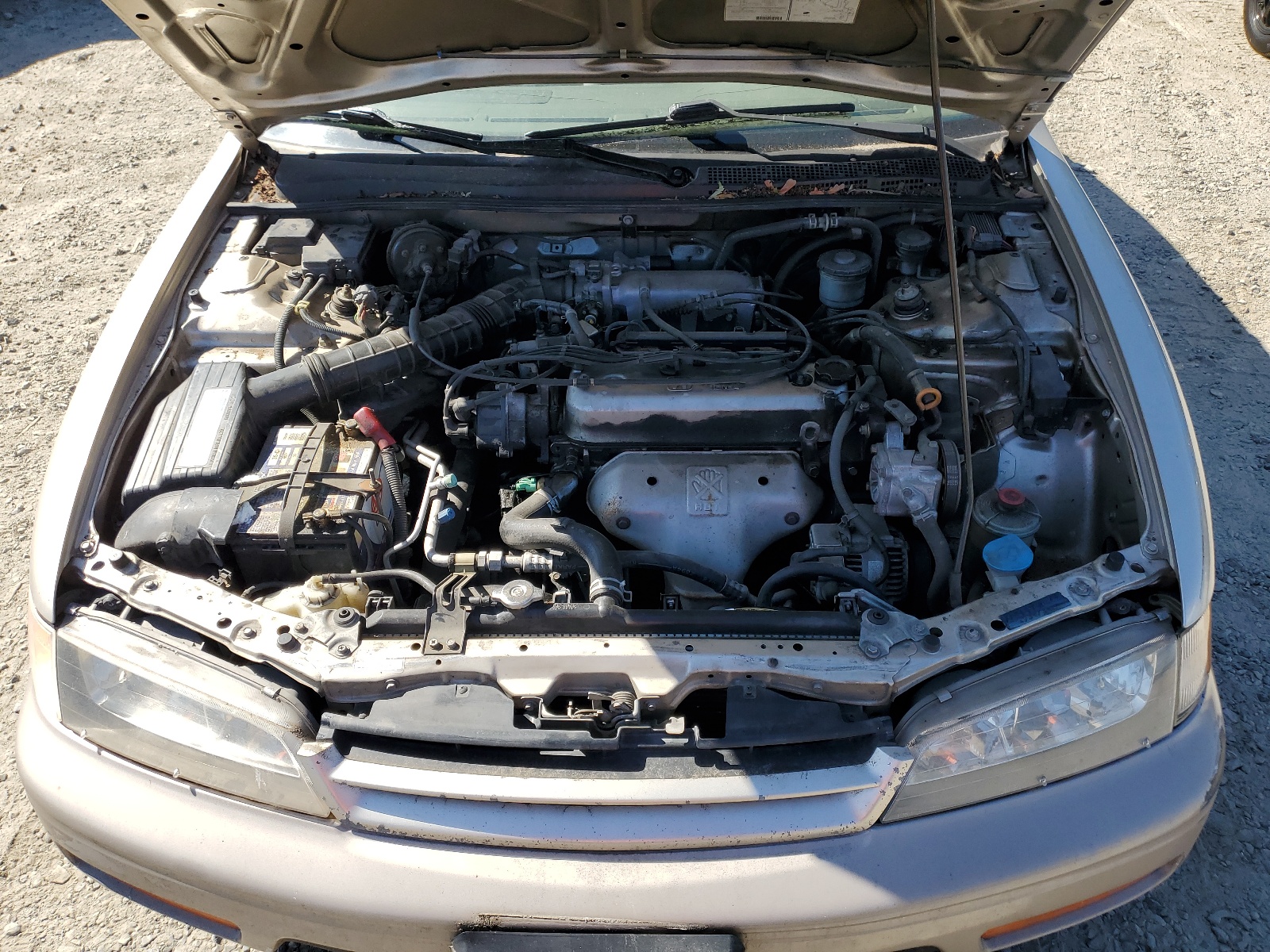 JHMCD5530SC032674 1995 Honda Accord Lx