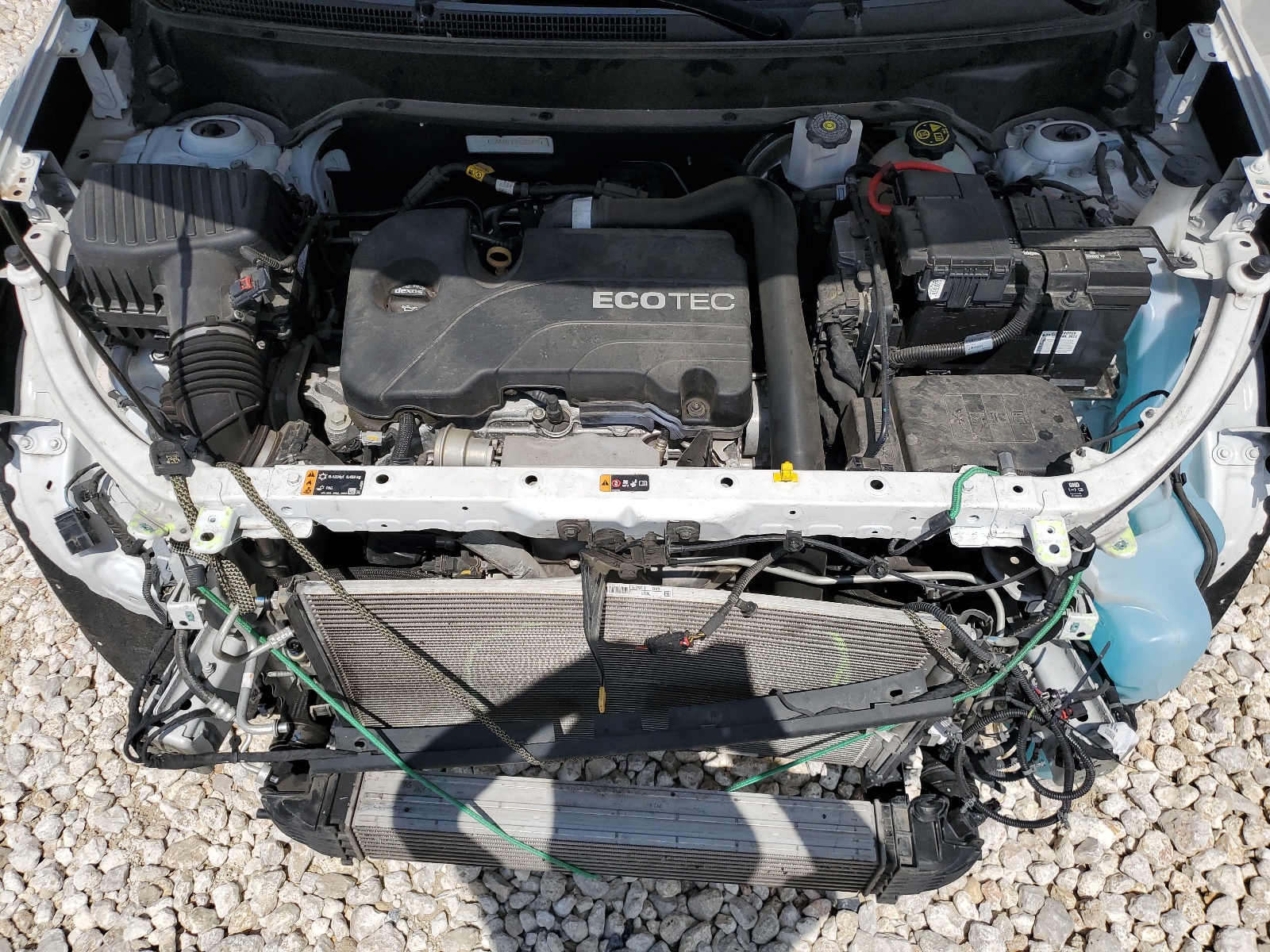 2GNAXKEV7K6263491 2019 Chevrolet Equinox Lt